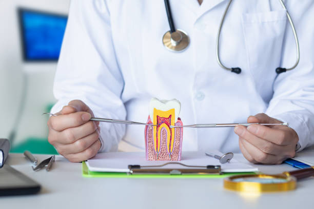Best Emergency Dental Care for Trauma or Injury in New Hyde Park, NY